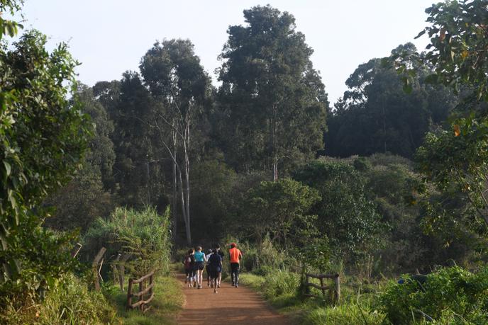 Dans la forêt de Karura, le 17 septembre à Nairobi.