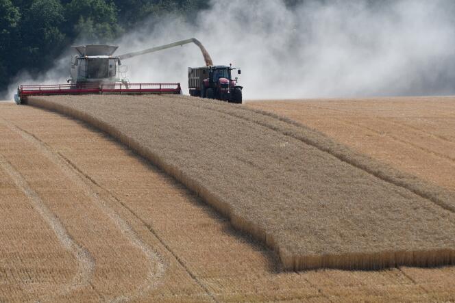 Un producteur moissonne son champ de blé, à Combres (Eure-et-Loir), le 23 juillet.