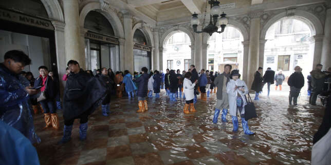 Venise peut-elle être sauvée des eaux ? Posez vos questions