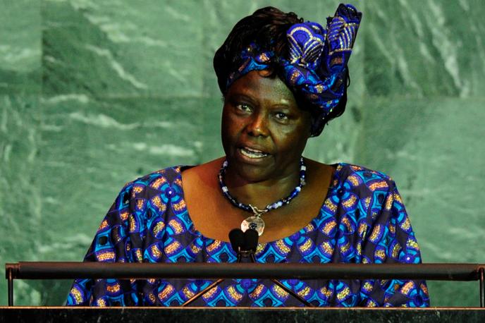 La prix Nobel de la paix Wangari Maathai, le 22 septembre 2009 lors du sommet sur le climat à l’ONU, à New York.