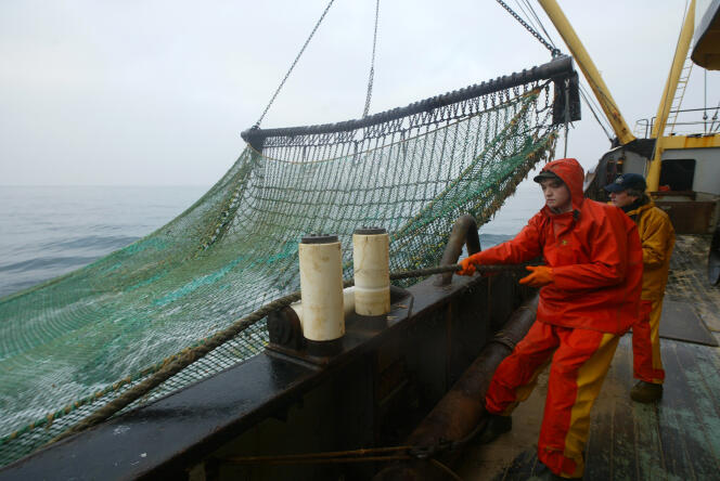 Des marins pêcheurs travaillent sur le pont d’un chalutier, lors d’une campagne de pêche dans la Manche en février 2006.