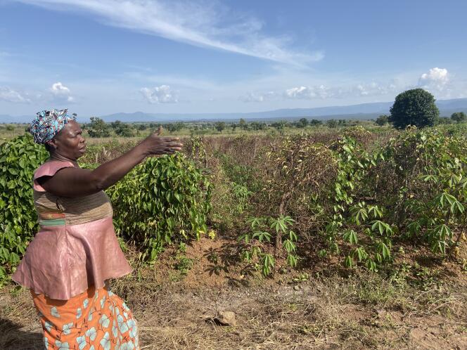 Marceline Landi, cultivatrice d’ignames à Mbé, dans le nord du Cameroun, en octobre 2019.
