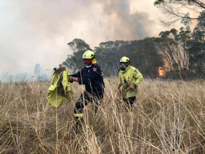 L’équipe d’incendie et de sauvetage de la Nouvelle-Galles du Sud sauve un Koala des flammes, à Jacky Bulbin Flat (Australie), le 21 novembre.