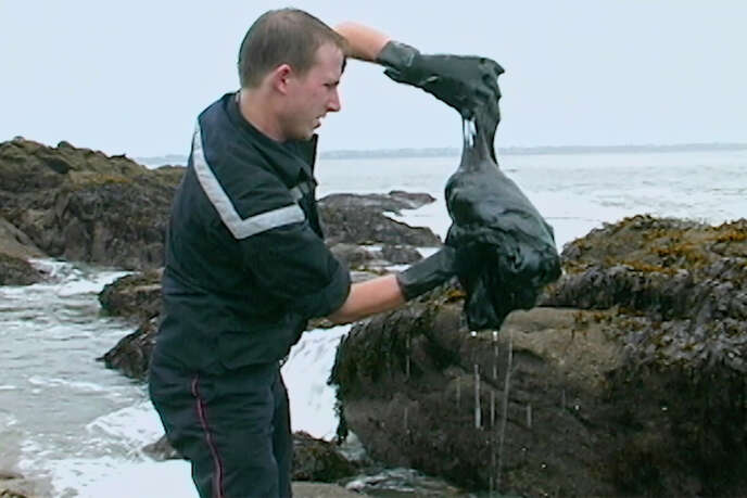 France 3 Examines The Scandal Of The Erika Oil Spill Archyde 