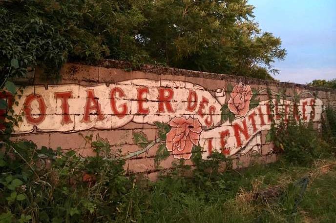 Pour certains potagistes, l’expérience de production agricole collective du « Quartier libre des Lentillères », à Dijon, a représenté un apprentissage qui leur a donné envie de s’installer professionnellement, par la suite.