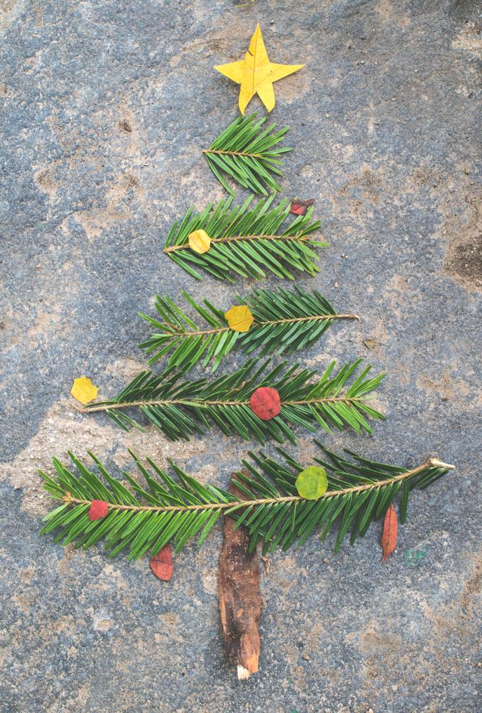 Sapins Certifiés Boules En Bois Et Cadeaux Immatériels