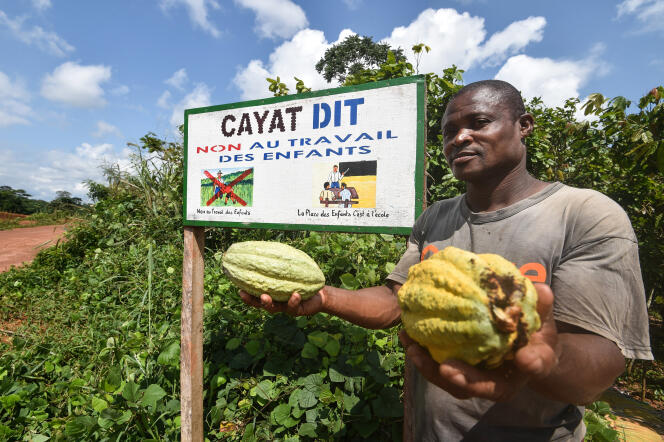 Un producteur de cacao équitable de la Coopérative agricoles de Yakassé-Attobrou, en Côte d’Ivoire, en août 2018.