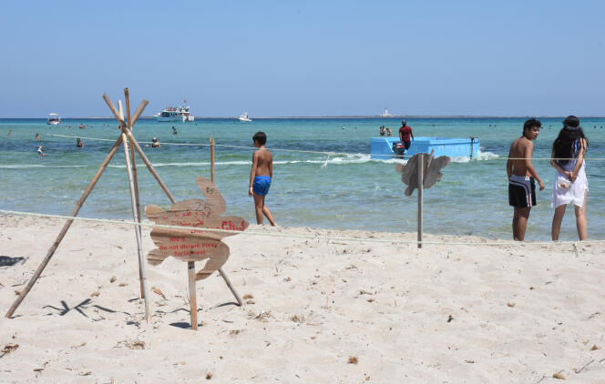 Sur l’île de Kuriat, en Tunisie (ici en août 2019), des zones de protection sont délimitées autour des nids de tortues marines pour ne pas que les touristes marchent dessus.