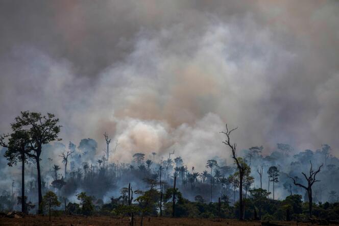 Une épaisse fumée se dégage le 27 août 2019 à Altamira, dans l’Etat brésilien de Para, qui, à lui seul, a représenté 44 % de la déforestation totale de l’Amazonie entre août 2018 et juillet 2019.