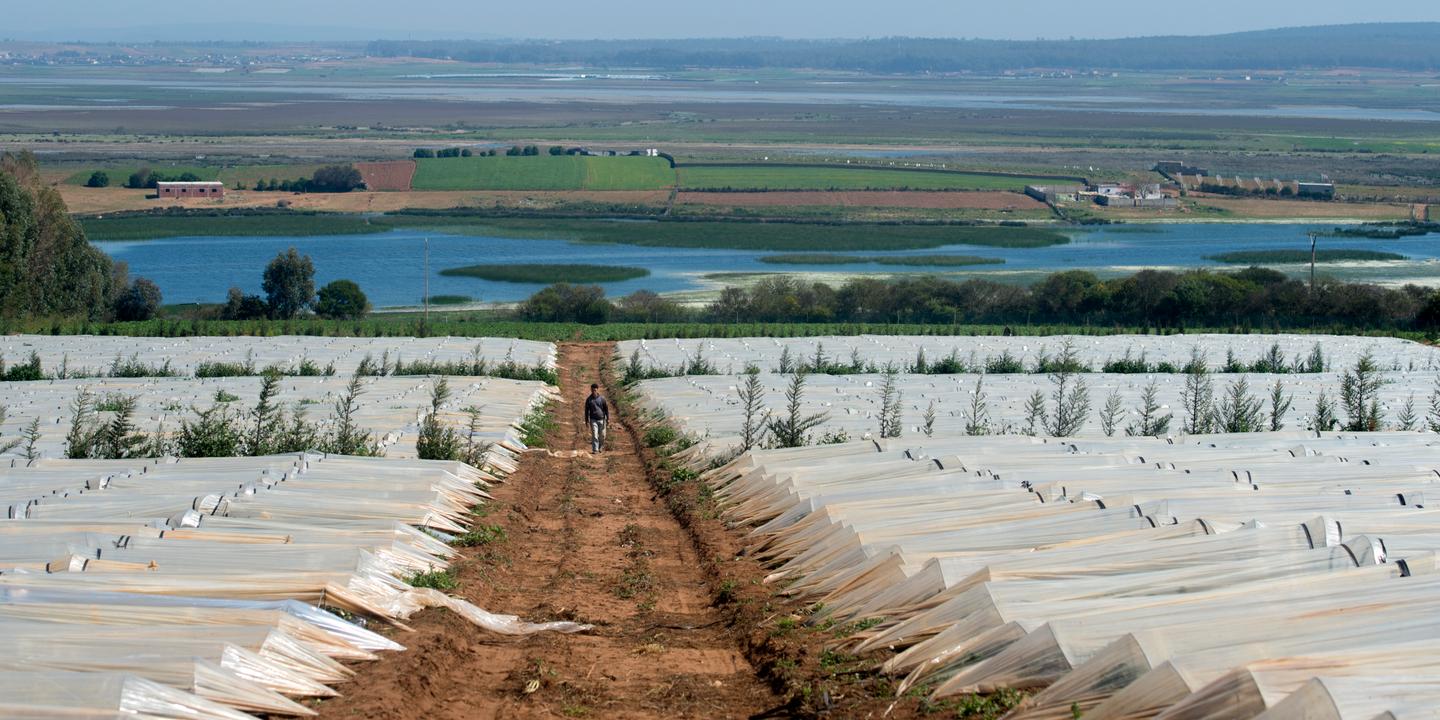 Terres collectives au Maroc : le long chemin des femmes pour ...