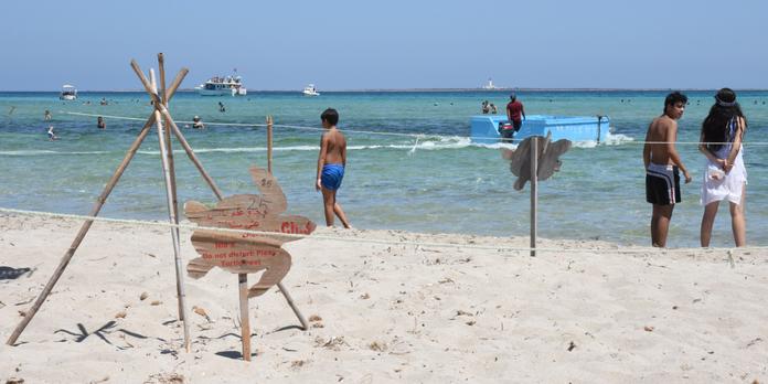 En Tunisie Une Ile Ou Tortues Et Touristes Vivent En Harmonie
