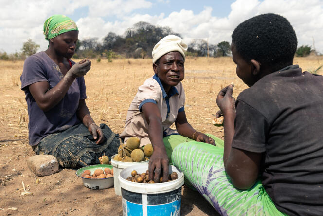 Des habitants de Buhera, au Zimbabwe, en août 2019.