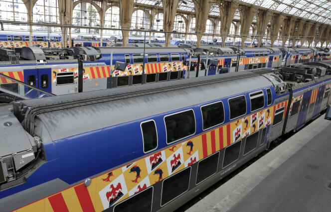 Des trains express régionaux (TER) dans la gare de Nice, le 6 décembre 2019.