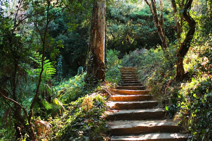 Dans un des jardins du Domaine du Rayol.