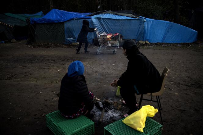 Tentes de réfugiés et migrants en forêt de Saint-Germain-en-Laye, le 2 décembre 2019.