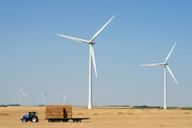 Des éoliennes à Guigneville (Loiret), le 23 juillet 2019.