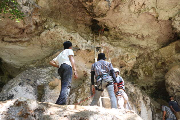 La grotte de Leang Bulu Sipong 4, dans l’ïle indonésienne de Sulawezi : l’entrée de l’annexe où se trouve la scène de chasse est visible en haut de l’échelle.