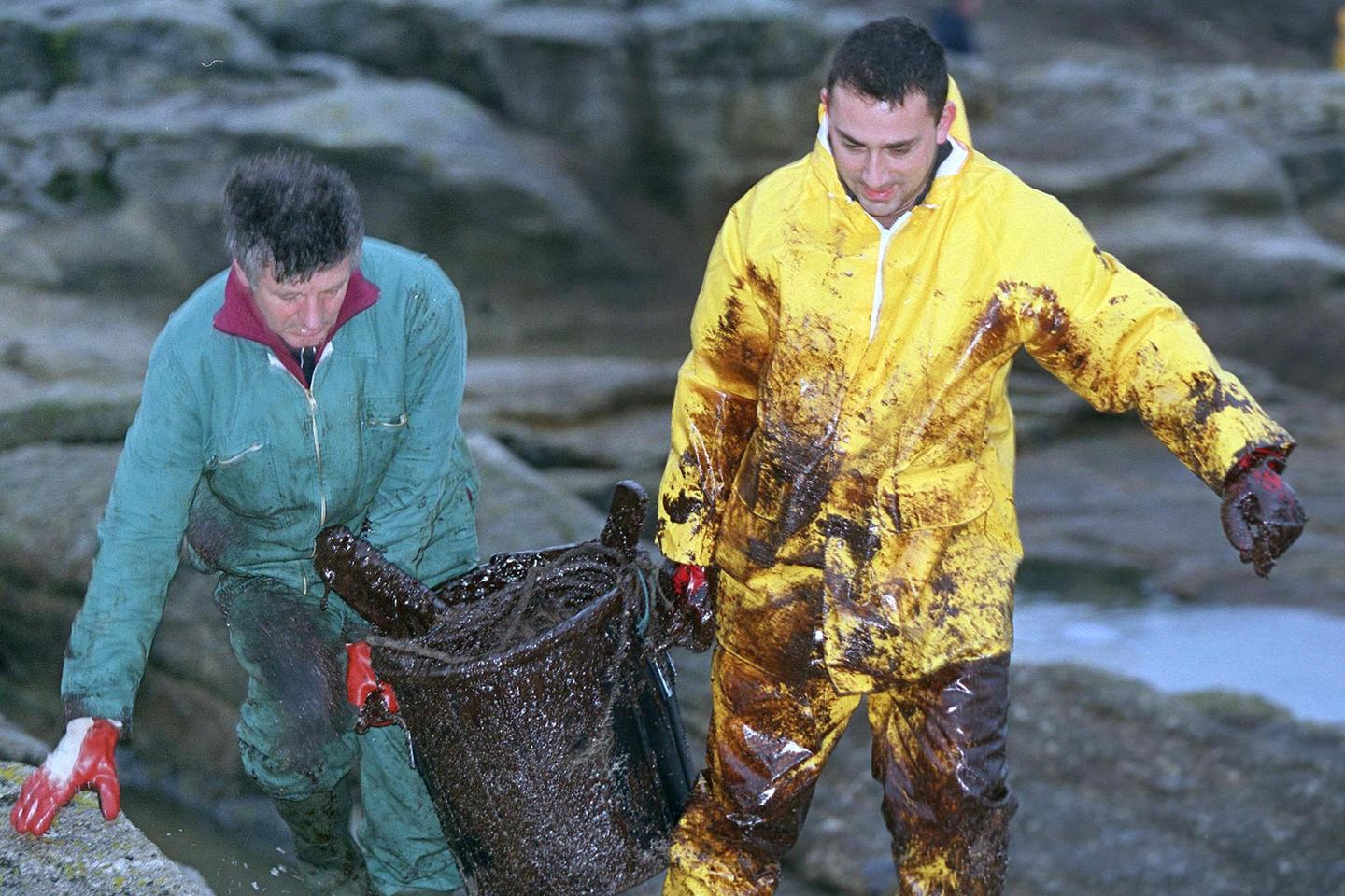 Des oiseaux souillés par du pétrole qui pourrait provenir de l’« Erika », échoué en 1999, retrouvés sur des plages du Finistère Des oiseaux souillés par du pétrole qui pourrait provenir de l’« Erika », échoué en 1999, retrouvés sur des plages du Finistère