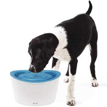Pour les gros chiens Fontaine à eau pour chiens Dogit Design Fresh & Clear de Hagen