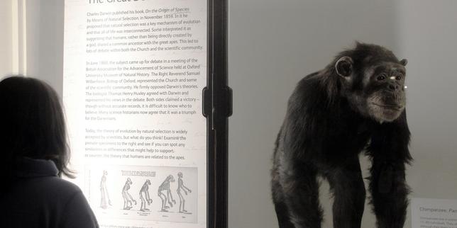 Des musées de sciences contre la science ?