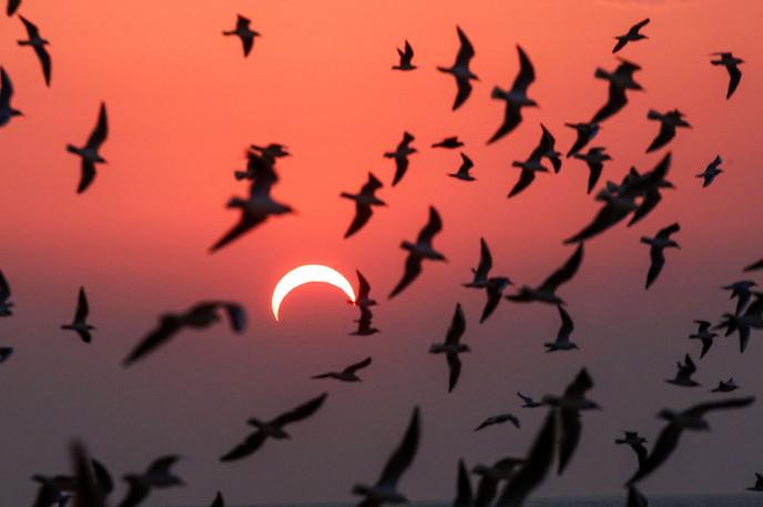 Une éclipse partielle à Koweït City, le 26 décembre 2019.