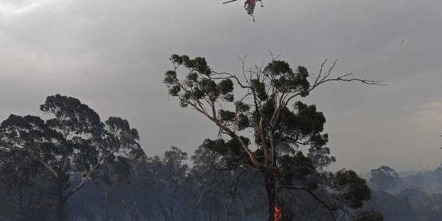 Tennis : en dépit des incendies, les organisateurs de l'Open d'Australie n'envisagent pas de report