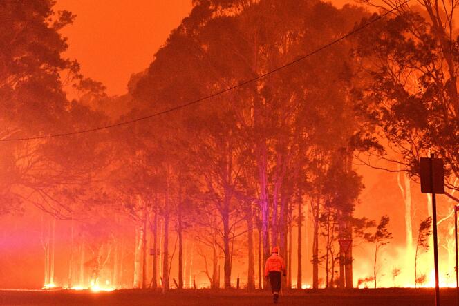 Un pompier tente d’éteindre les flammes, près de la ville de Nowra, dans l’Etat de Nouvelle-Galles du Sud (Australie), le 31 décembre.