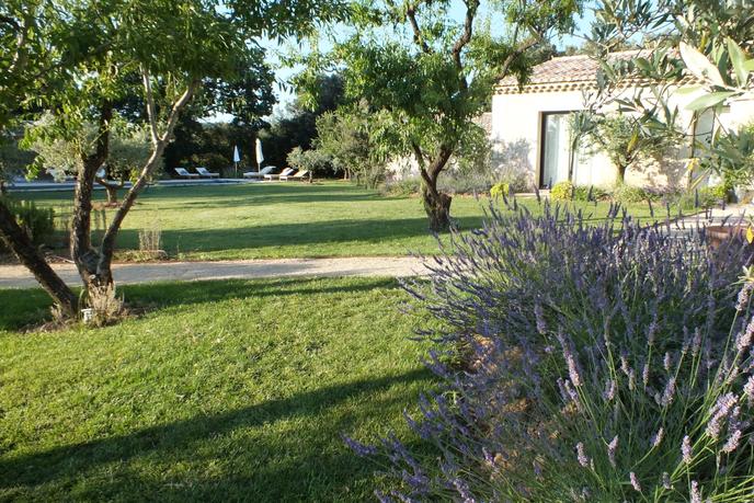 Le domaine Notre-Dame, un magnifique mas contemporain au coeur des Alpilles, en Provence, propose des séjours jeûne et détox.
