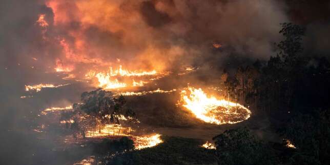 Embouteillages monstres et ciel orange : les images des incendies qui continuent de ravager l'Australie