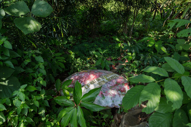 Ekité, le 11 décembre 2019. Une gerbe de fleurs repose sur une fosse commune de militants nationalistes de l’Union des populations du Cameroun (UPC) tués en 1956.