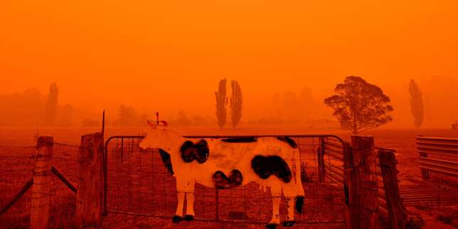 Incendies : l'Australie évalue les dégâts après une des pires journées depuis le début de la crise