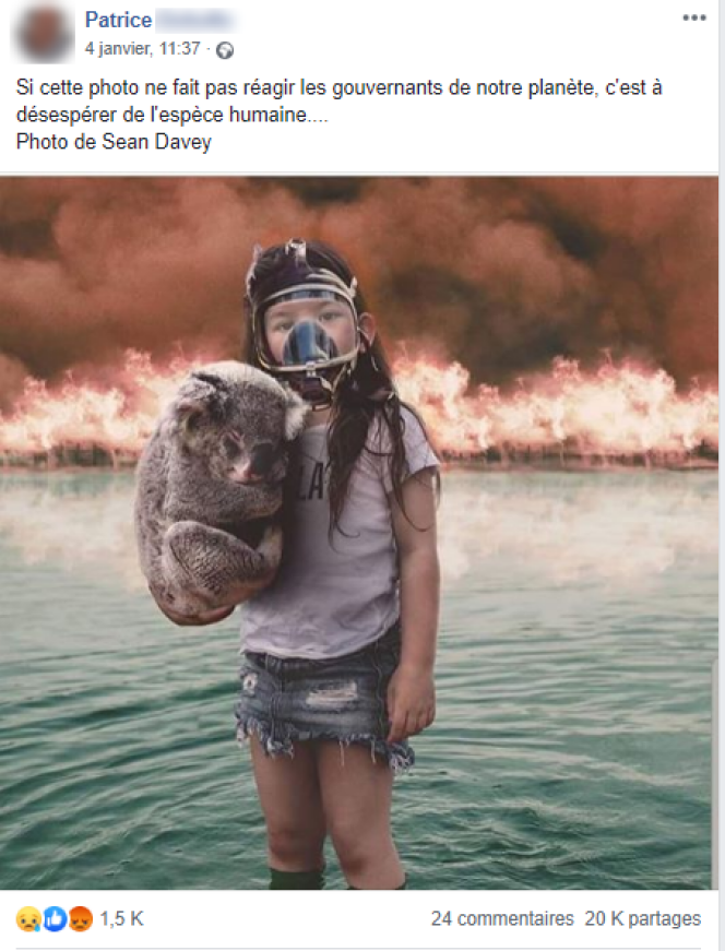 Capture d’écran d’un message sur Facebook illustré par la photo de la petite fille au koala.