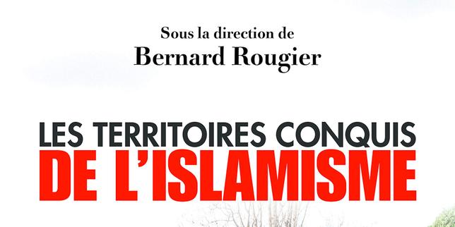 La théorie des « enclaves », nouveau thème en vogue chez les chercheurs
