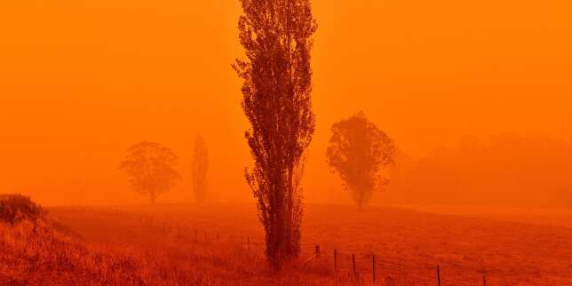 La fumée des incendies australiens a atteint le Chili et l'Argentine