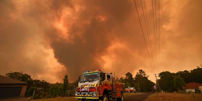 Le manque d'entretien des forêts est-il la cause des incendies en Australie ?