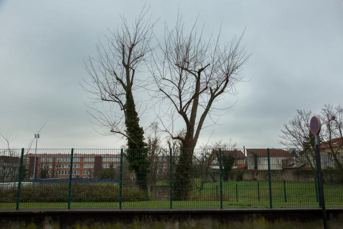 Dans le quartier où vit Selja Lamouri, à Champigny-sur-Marne, le 7 janvier.