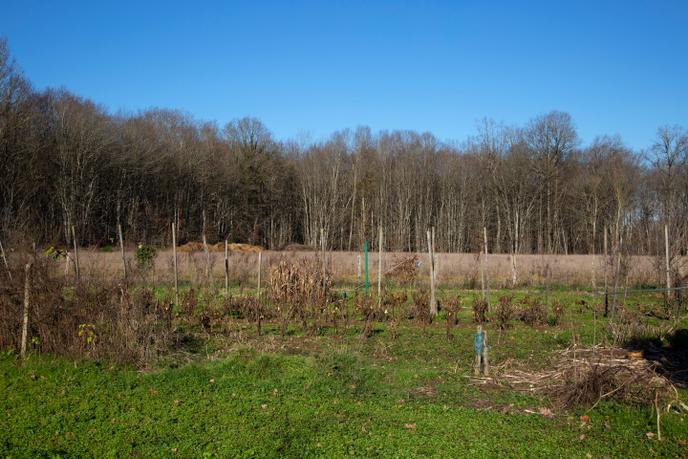 Le jardin de la famille Costa, à Villeneuve-les-Genêts, le 7 janvier.
