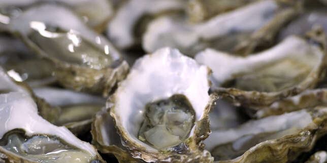 Les eaux usées seraient à l'origine de la gastro-entérite des huîtres en Bretagne