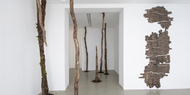 Sélection galerie : Cécile Beau chez 22,48 m2
