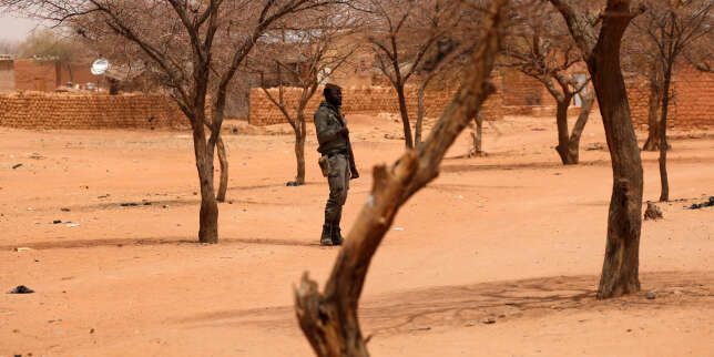 Sahel : « Il faut repenser la sécurité du continent selon une perspective stratégique africaine »