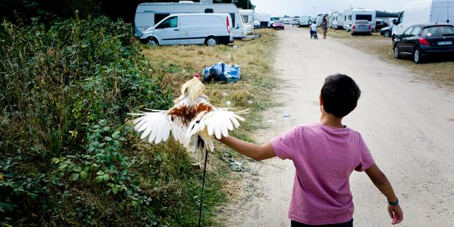 « Enfant de perdition », de Pierre Chopinaud, un fascinant anti-roman de formation