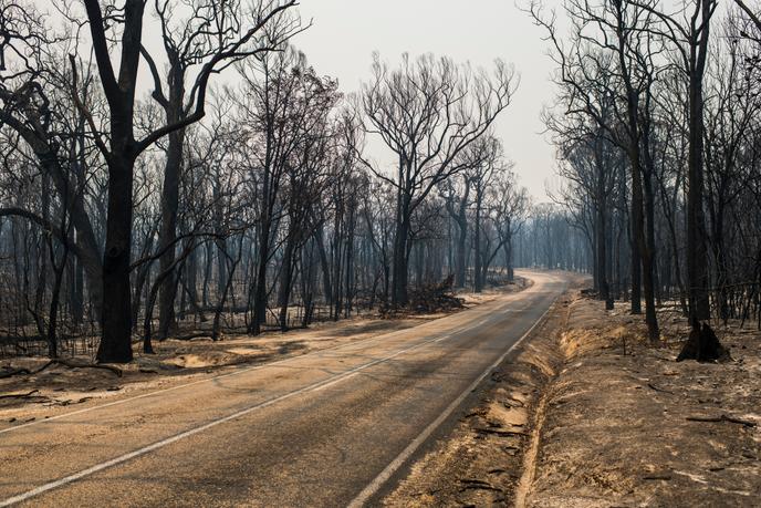 Sur la route de Princes Highway, près de la ville de Mallacoota.