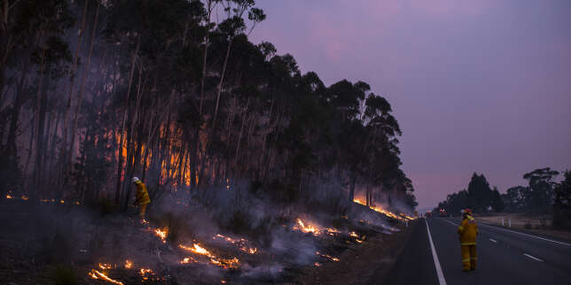 Notre journée spéciale sur les incendies en Australie : une saison de feux dévastatrice