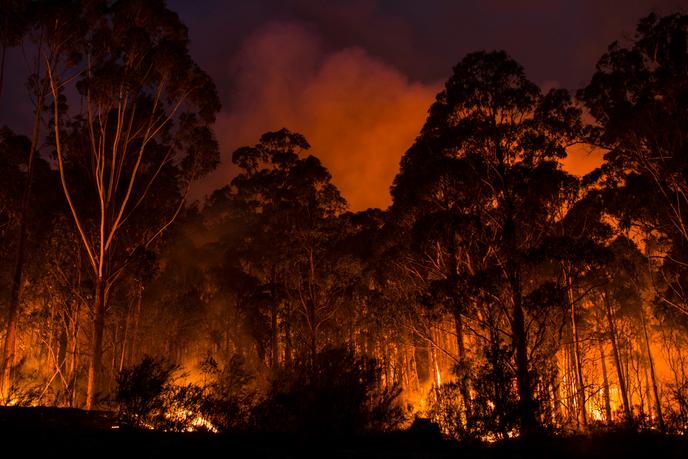 Pour Pierre Schaller, colonel français des sapeurs-pompiers : « Il y a un très bon état d’organisation, et ce malgré les conditions climatiques terribles, une vulnérabilité extrême des combustibles, des températures extrêmes atteignant parfois plus de 48 °C, et une sécheresse de la masse d’air impressionnante. »