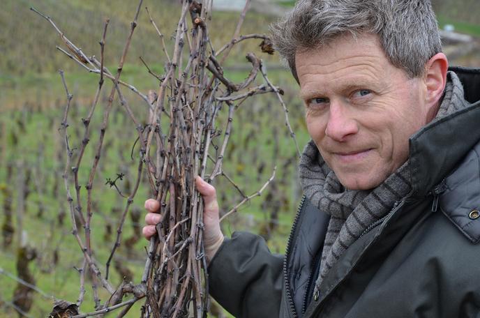 Aubert Lefas, domaine Lejeune, à Pommard (Côte-d’Or).