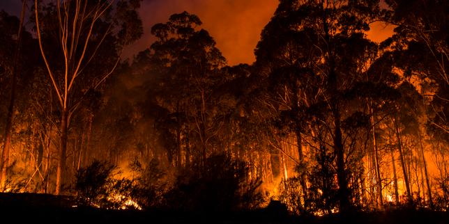 Climat : l'avertissement australien
