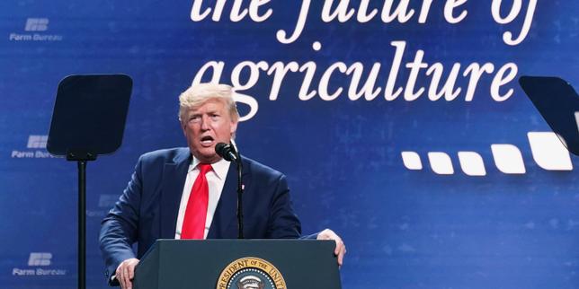 Trump II en novembre ?