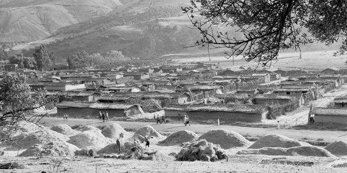 Samia Henni Les Bidonvilles Pour Moi C Est De L Architecture