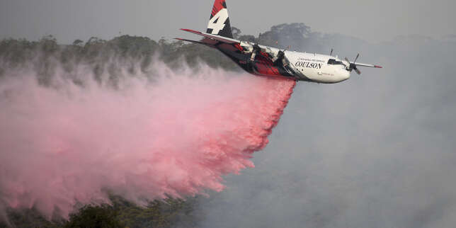 Incendies en Australie : trois pompiers américains tués dans le crash de leur avion-citerne