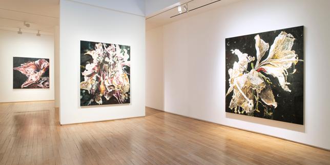 Sélection galerie : Philippe Cognée à la Galerie Templon
